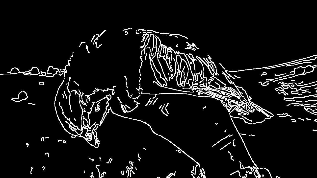 a dead bird held horizontally in a glove, outside. you can see the horizon line. everything is white lines on black, blending into the website