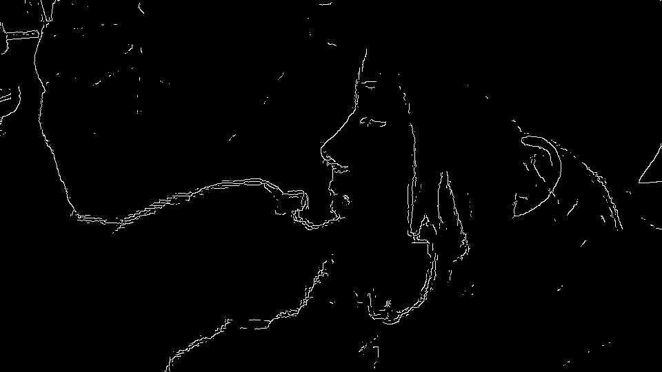  rendered as white lines on black